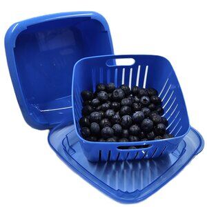 Hutzler Berry Box Wash-Serve-Store Set Blue EUC
